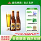 Tsingtao Beer Pilsner craft bottled whole wheat craft beer 450ml*12 bottles high-end date fresh full box ສົ່ງຟຣີ