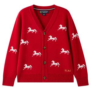 
eland kids children's clothing boys' knitted cardigan 26 spring new arrival contrast jacquard wool sweater