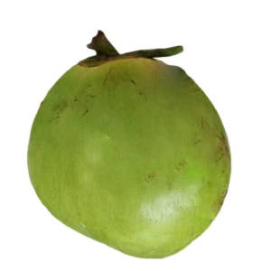 
Hainan large green coconut with skin, ten packs for pregnant women, freshly picked green coconut, free shipping, fresh coconut milk frozen coconut treasure