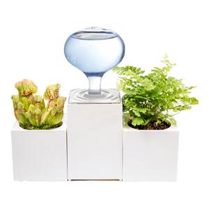 
LeGrow Plant Humidifier Home Office Desktop Green Plant Small Can Put Essential Oils and Aromatherapy USB Potted Plant Replenish Water