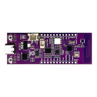 W800 Development Board IoT Communication Microcontroller Development Core Board MCU System Board Voice Recognition Chip