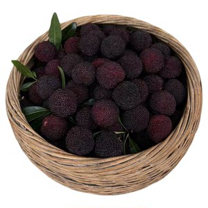 
2026 Zhejiang Cixi Yuyao fresh bayberry whole box gift box *0.5kg freshly picked seasonal fresh fruit for pregnant women and fruit soaked wine