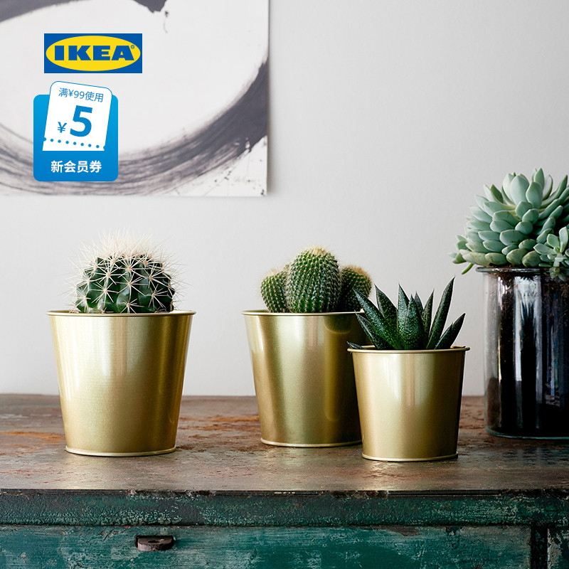 IKEA宜家DAIDAI戴戴装饰用花盆北欧创意绿植花盆黄铜色现代简约