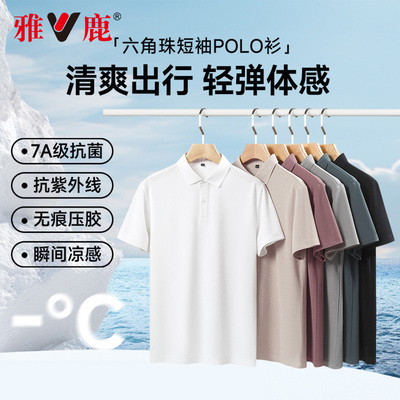 2026年4月26日更新【万能白菜价】的图片 第6张