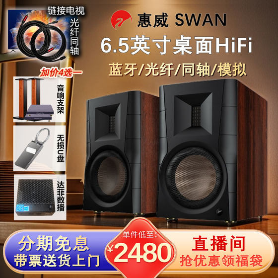 Hivi/惠威 D300有源书架蓝牙5.0HIFI桌面电脑电视客厅音箱 d300