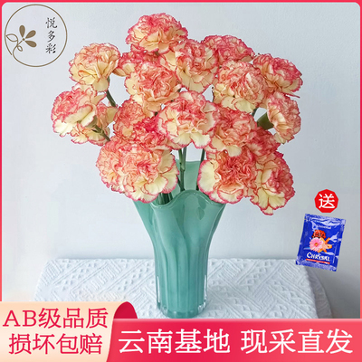 2026年1月26日更新【万能白菜价】的图片 第18张