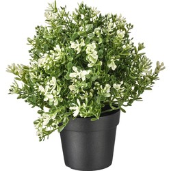 ikea Ikea fejka Fika artificial plant potted plant