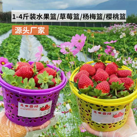 塑料水果篮圆篮1234斤装草莓篮樱桃篮蓝莓篮杨梅篮手提鸡蛋圆蓝子