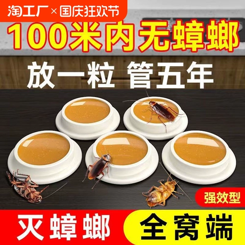 Медицина для таракана. Домохозяйство в помещении не -токсичная цельная гнездо -резиновая приманка кухня убийство маленького Johnshill Notema Special Effect Artifact 1