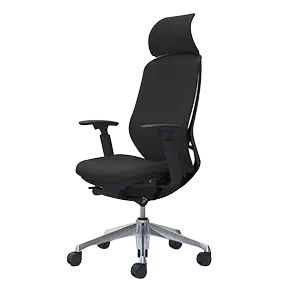 sylphy chair Latest Authentic Product Praise Recommendation 