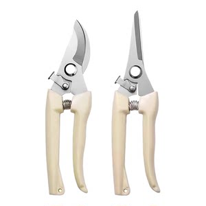 Gardening, pruning, flower cuts, garden scissors, floral cuttings, branches, fruit tree scissors, branch scissors, pruning flowers scissors,