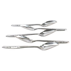 Parrot chicks stainless steel breast feeder bird spoon feeding tool Xuanfeng young bird hand feeding 1