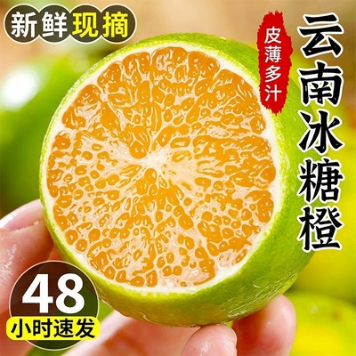 2026年10月27日更新【万能白菜价】的图片 第23张