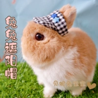 [Beni] кроличья и кроличья шляпа кролика подходит для кроликов, подходящих только для фотографирования