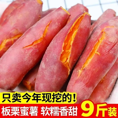 2026年3月16日更新【万能白菜价】的图片 第9张