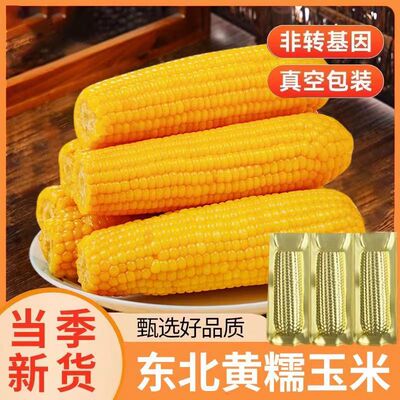 2026年1月117日更新【万能白菜价】的图片 第6张