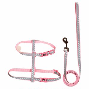 Pet cat traction rope out -of -worker vest to break free of kittens and cat ropes, chest strap walking dog rope supplies
