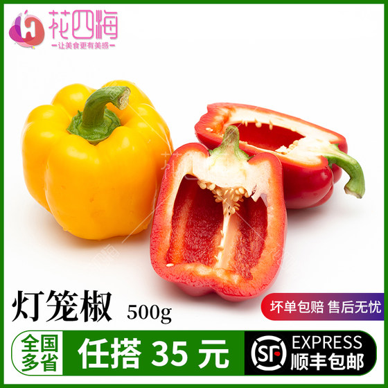 新鲜红黄彩椒 灯笼椒 圆椒 甜辣椒 蔬菜水果沙拉食材500g