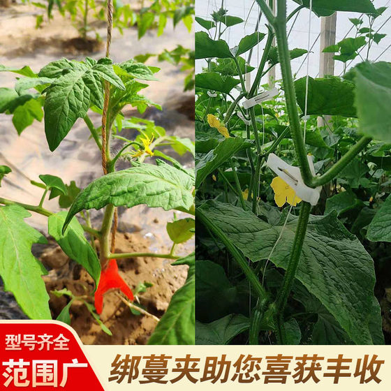 西红柿黄瓜夹子吊落秧夹吊绑蔓大棚温室蔬菜青辣椒番茄西葫芦夹子