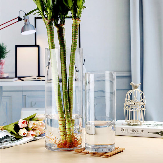 수경 유리 투명 풍부한 대나무 바닥 꽃병 장식 거실 꽃꽂이 유럽 단순 대형 수경 재배 대나무