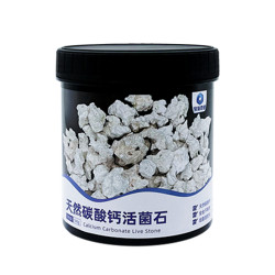 Deep Sea Miracle Live Fungus Stone [recommended for starting a marine tank]