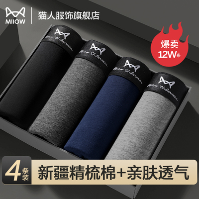 2026年3月16日更新【万能白菜价】的图片 第2张