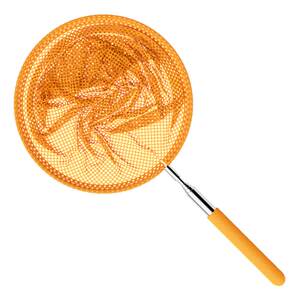 Extending net Children fishing fish nets catch butterflies, insects, insects, children with telescopic lever outdoor folding toys
