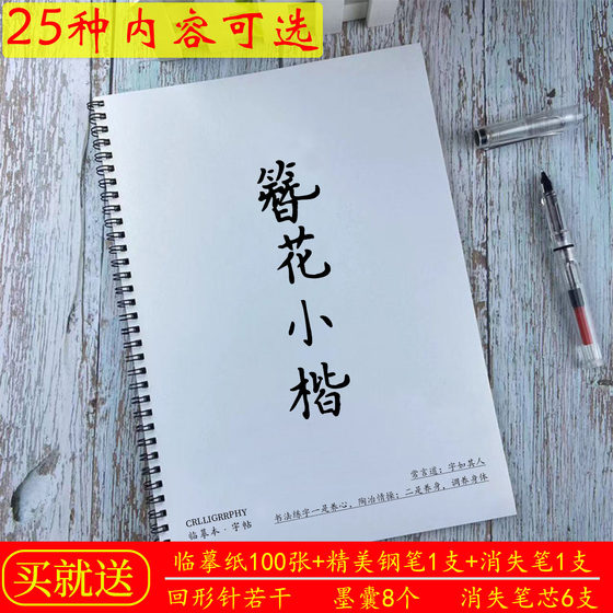 2023年文艺小清新女生簪花小楷练字帖学生唯美语录硬笔学生字帖