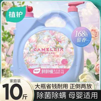 2026年1月6日更新【万能白菜价】的图片 第48张