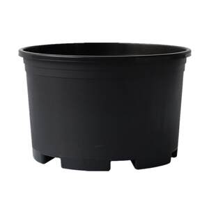 Black gallons of thick -caliber sunscreen pot plastic short fat vegetable pot hydrangea blueberry control root
