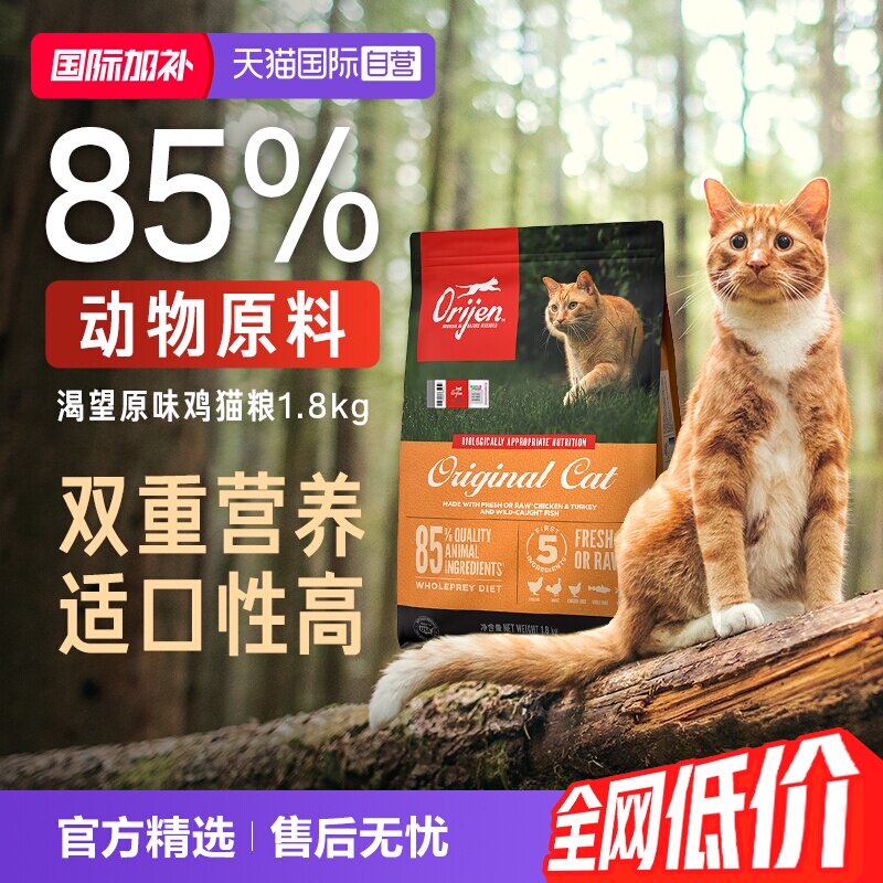 捡来的“绝世美颜”：流浪猫狮子的逆袭之路（最后多猫片慎入）