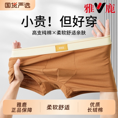 2026年5月3日更新【万能白菜价】的图片 第22张