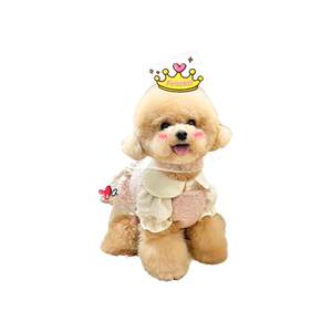 Pet shaking head ornaments Customized car shaking a cat Shiba Inu dog photo custom shaking Leykli