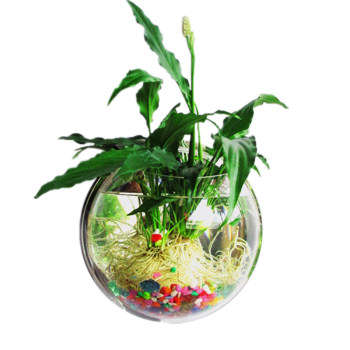 Acrylic flower pot wall hanging potted flower gardening vase