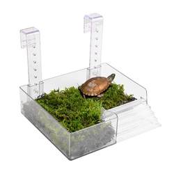 [Official Recommendation]: A large collection of turtles on the terrace