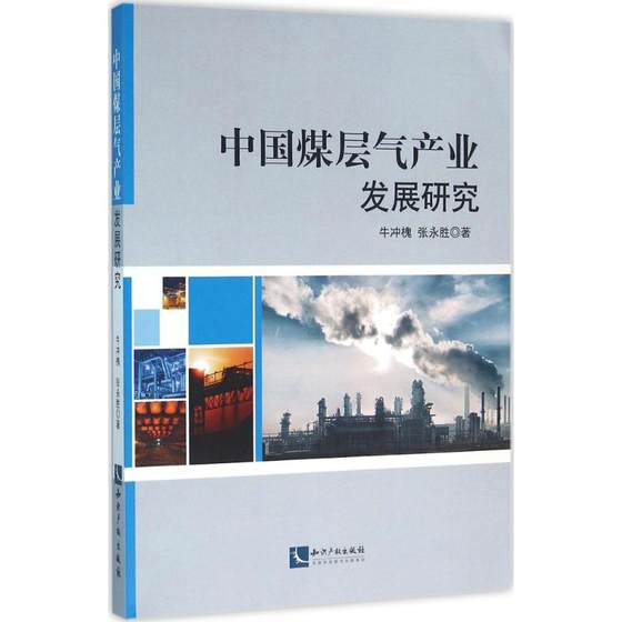 中国煤层气产业发展研究 牛冲槐,张永胜 著 著 石油 天然气工业专业科技 新华书店正版图书籍 知识产权出版社