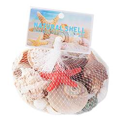 Yee Landscape Shells Pure Natural Deep Sea Collection