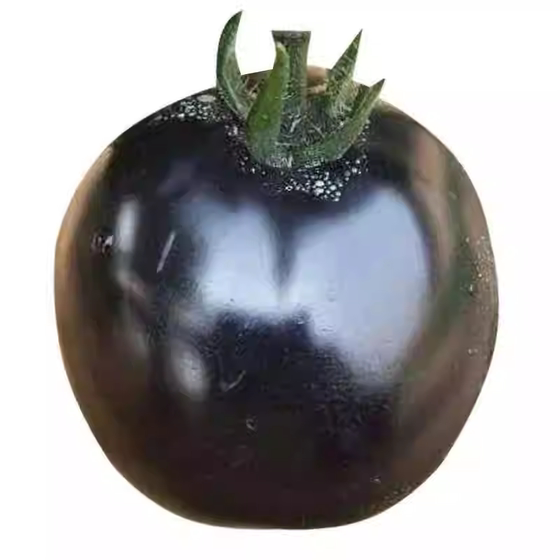
Shandong Shouguang Black Pearl Tomato Seedlings Super Sweet Golden Exquisite Provence Red Millennium White Princess Cherry Tomato Seeds