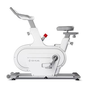 Shuhua Dynamic Bicycles Home Fitness Equipment Indoor Sports Bicycle Magnetic Smart Smart Fitness Car Rabbit