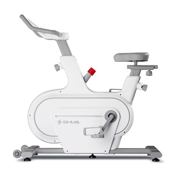 Shuhua Dynamic Bicycles Home Fitness Equipment Indoor Sports Bicycle Magnetic Smart Smart Fitness Car Rabbit