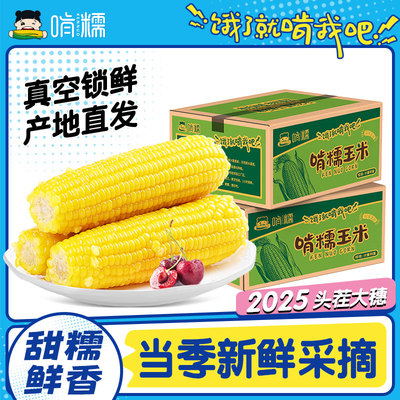 2026年3月5日更新【万能白菜价】的图片 第2张