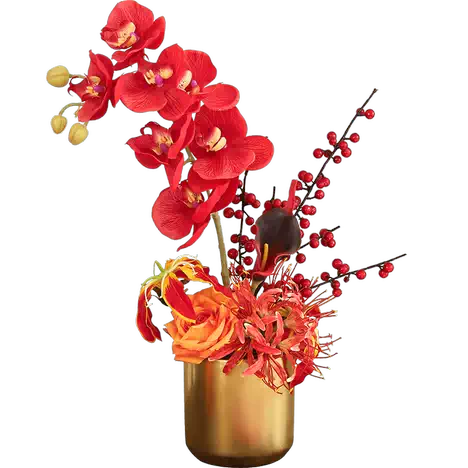 红色喜庆蝴蝶兰盆栽仿