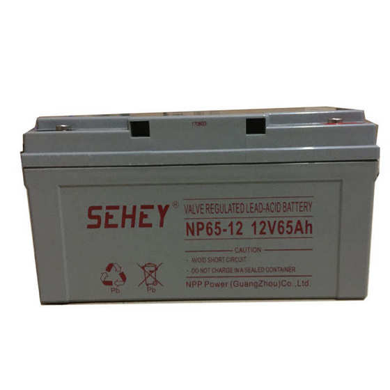 SEHEY/西力12V24AH38ah65ah100ah120ah150ah200ah铅酸蓄电池