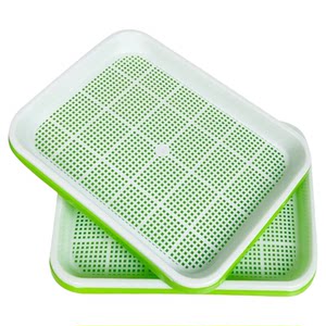 
Indoor garlic seedlings potted garlic planting pots planting red onions artifact family balcony vegetable tray planting garlic yellow hydroponics