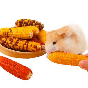 
Yue Xiaomeng hamster corn molar stick golden bear flower rat special snacks food daily necessities to relieve boredom toys