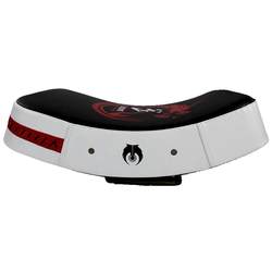 Increase professional training for boxing and foot targets in Sanda