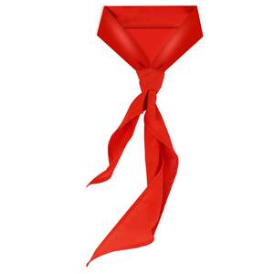 
Morning light red scarf primary school student pure cotton 1m universal junior high school student large size breathable non-fading 1.2m adult standard small size 1-3 grade children special polyester standard non-fading genuine cotton