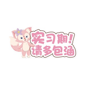 
Internship car stickers for new female drivers on the road magnetic stickers reflective logo cute car decoration stickers magnetic new model