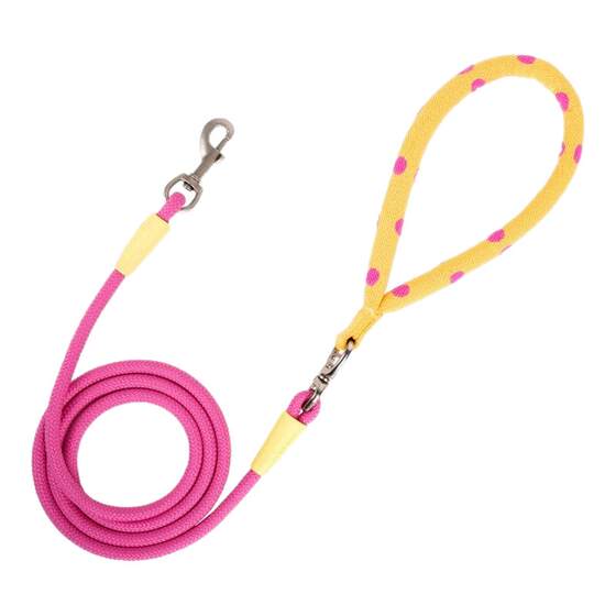 
NiiKOPET dog leash goes out for dog walking, the leash is comfortable and resistant to pulling, explosion-proof chain for large, medium and small dogs