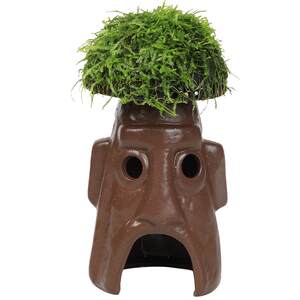 Fish tank Moss potted jar water grass landscaping real plants fish and shrimps to avoid jar shrimp house small ornaments small fish breeding hideaway house
